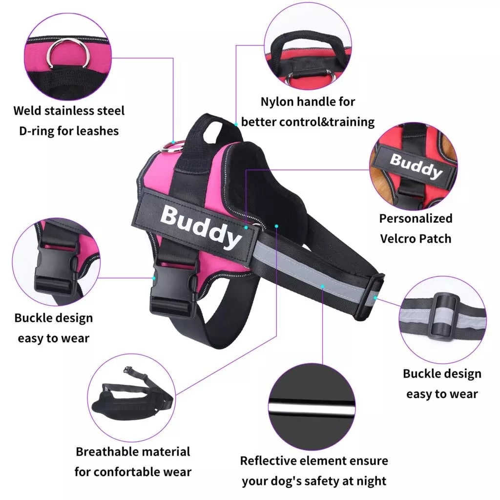 *LIMITED EDITION* No-Pull Personalized Dog Harness