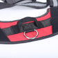*LIMITED EDITION* No-Pull Personalized Dog Harness