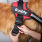 *LIMITED EDITION* No-Pull Personalized Dog Harness