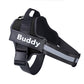 *LIMITED EDITION* No-Pull Personalized Dog Harness