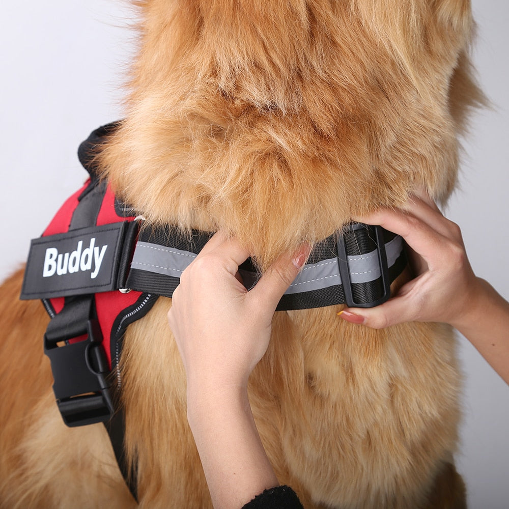 *LIMITED EDITION* No-Pull Personalized Dog Harness